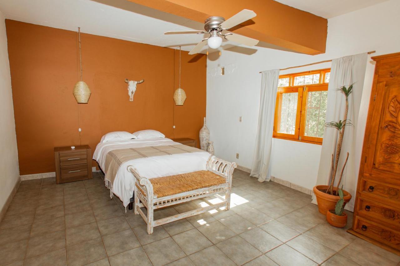 Cien Palmas- Authentic Mexican Casita 1 -Downtown โทโดส ซานโตส ภายนอก รูปภาพ